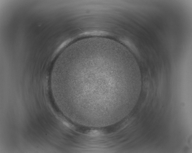 X0000081320111200701181938