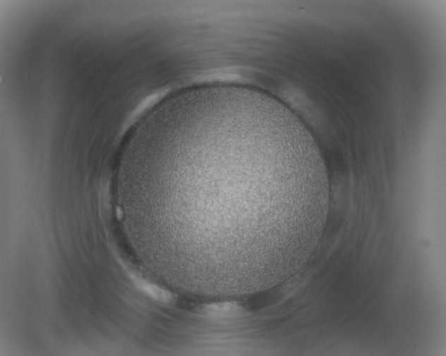 X0000081320112200701181938