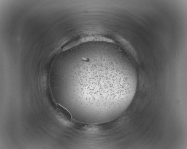 X0000081320113200701181938