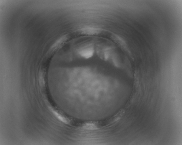 X0000081320114200701181938