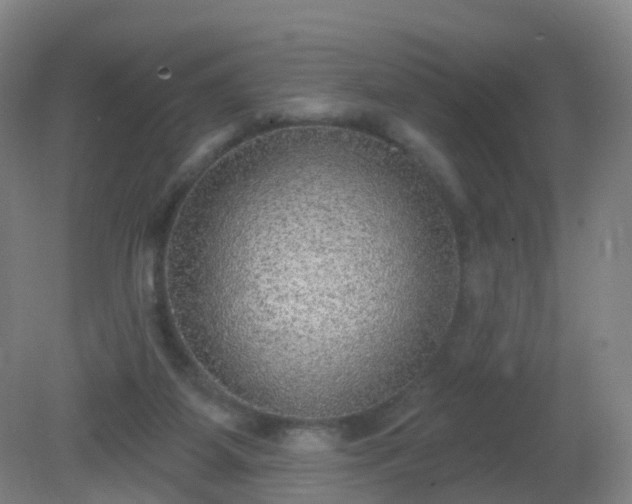 X0000081320115200701181938