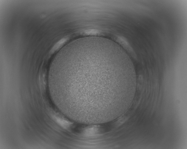 X0000081320116200701181938