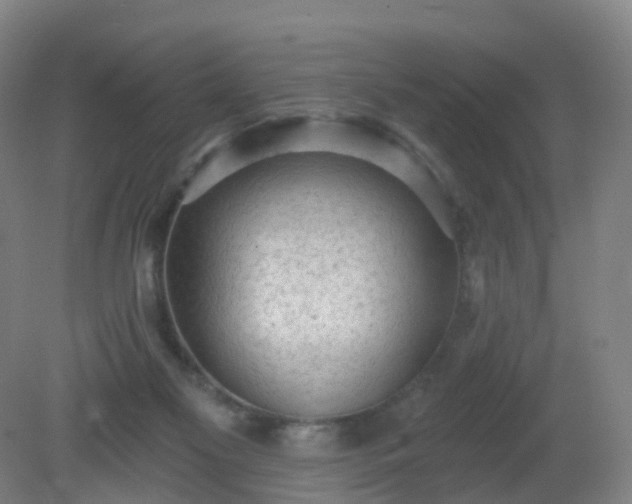 X0000081320117200701181938
