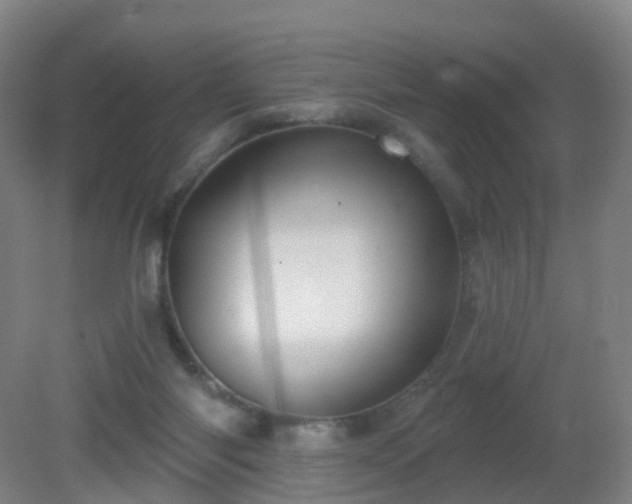 X0000081320118200701181938