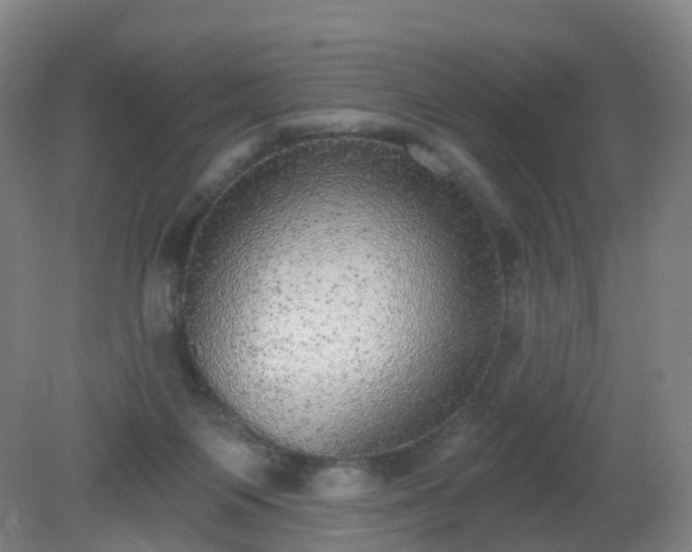 X0000081320119200701181938