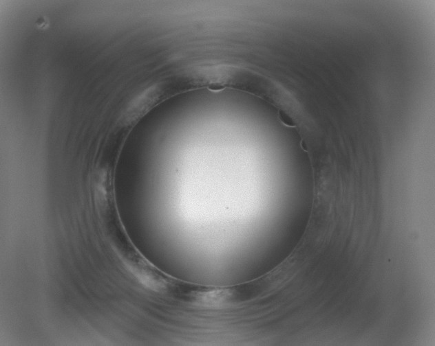 X0000081320122200701181938