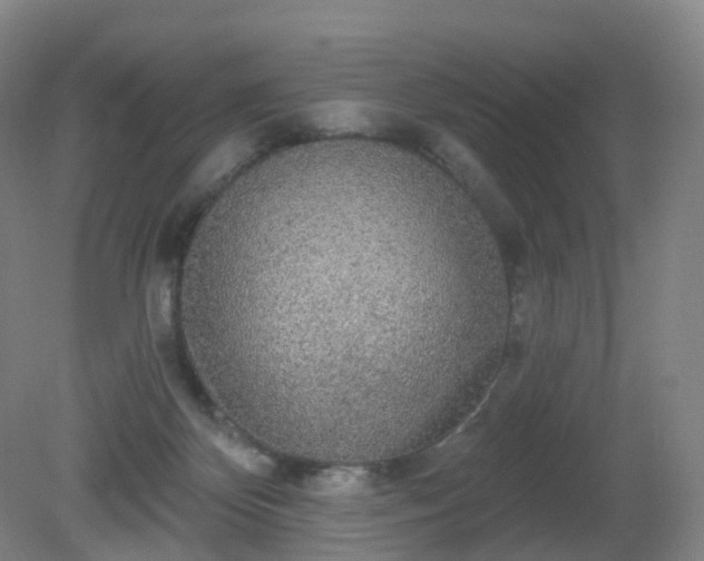 X0000081320124200701181938