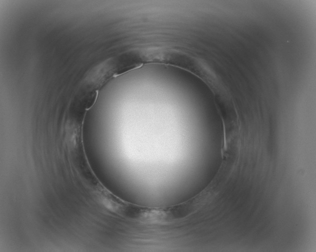 X0000081320125200701181938