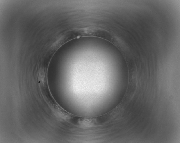 X0000081320129200701181938