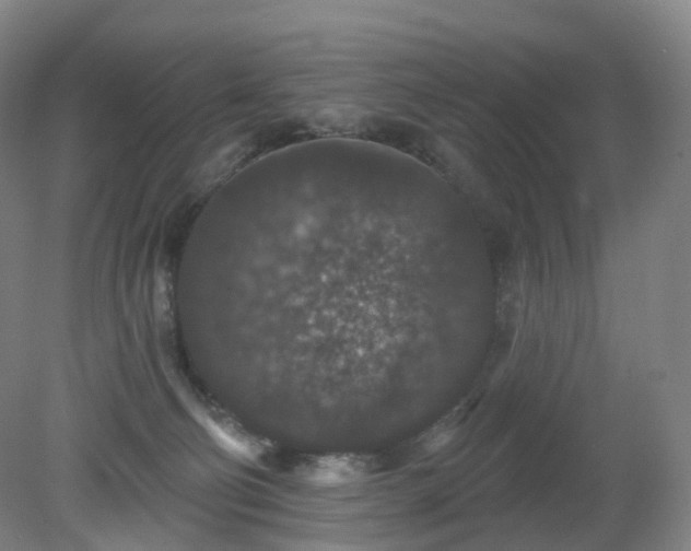 X0000081320130200701181938