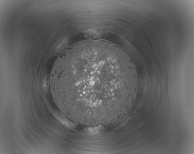 X0000081320134200701181938