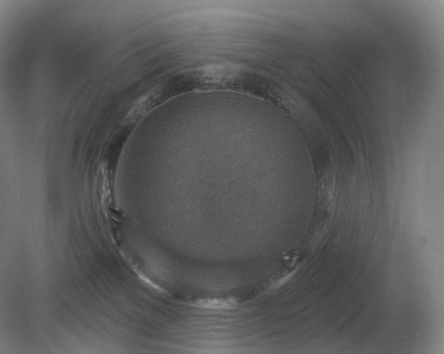 X0000081320137200701181938