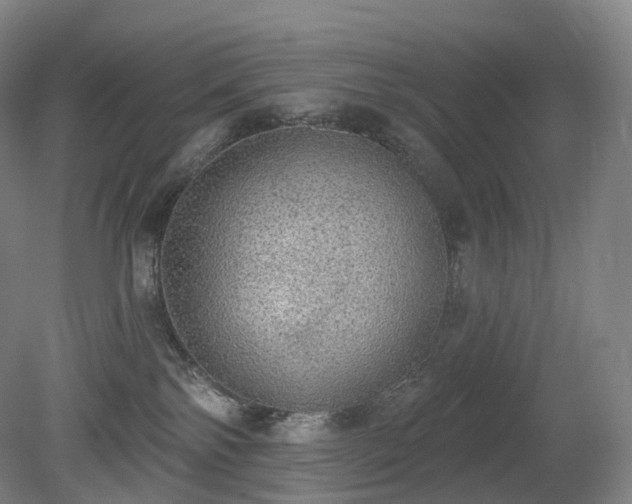X0000081320138200701181938