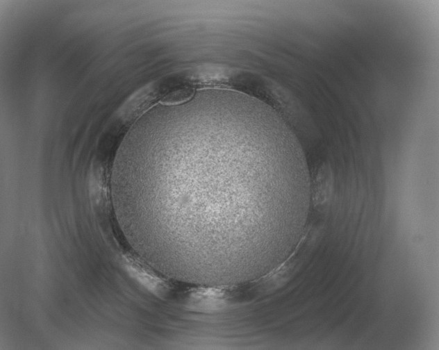 X0000081320140200701181938