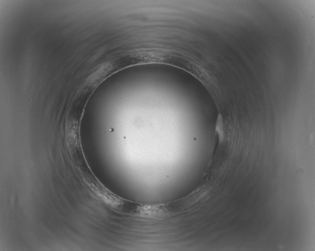 X0000081320141200701181938