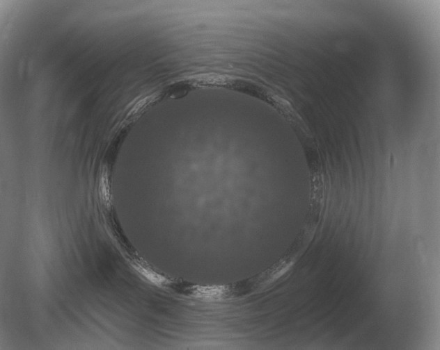 X0000081320143200701181938