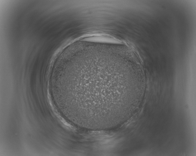 X0000081320145200701181937