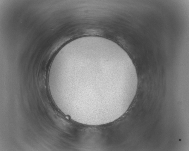 X0000081320146200701181937