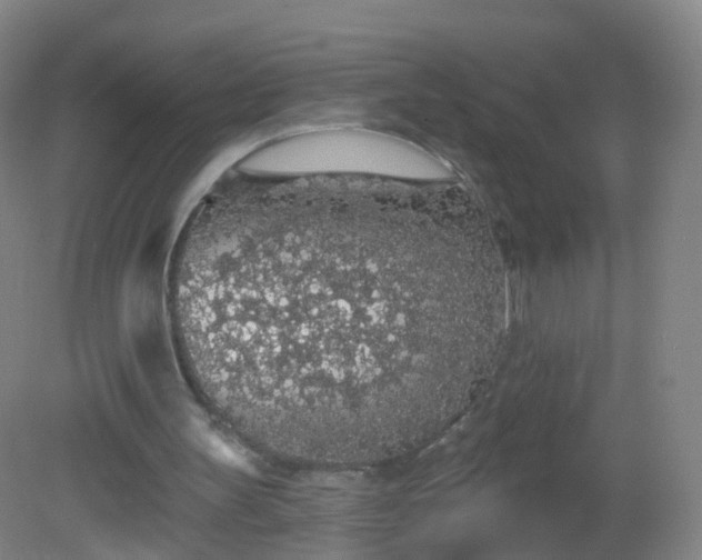 X0000081320147200701181937