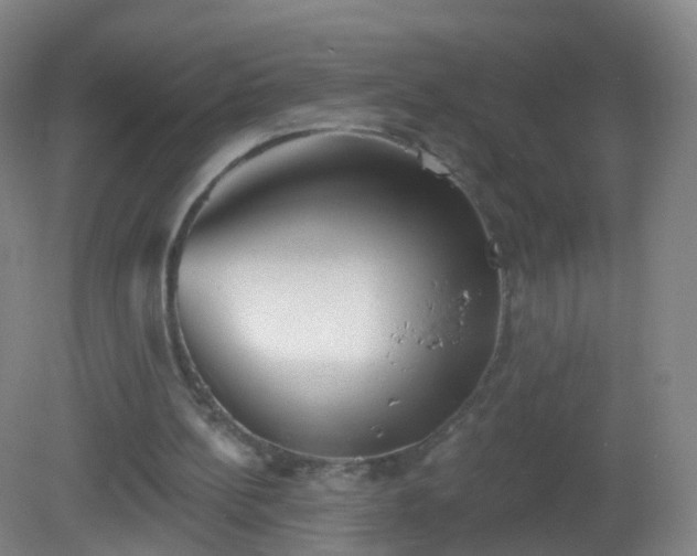 X0000081320148200701181937