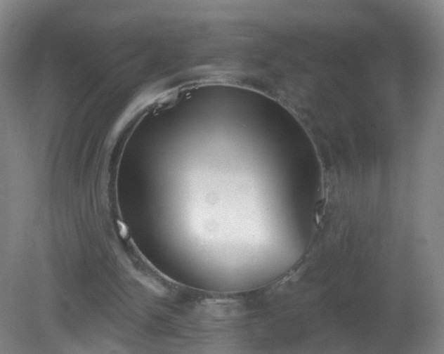 X0000081320150200701181937