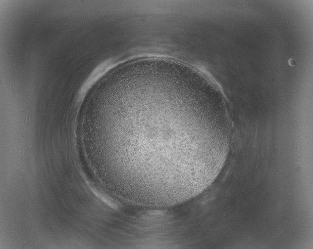 X0000081320151200701181937
