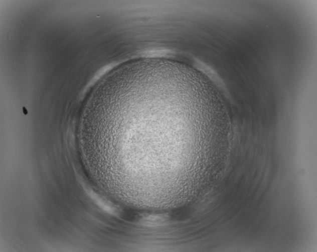 X0000081320155200701181937