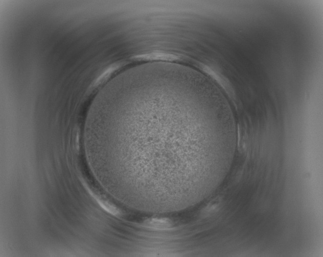 X0000081320157200701181937