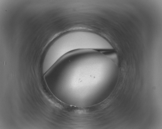 X0000081320160200701181937