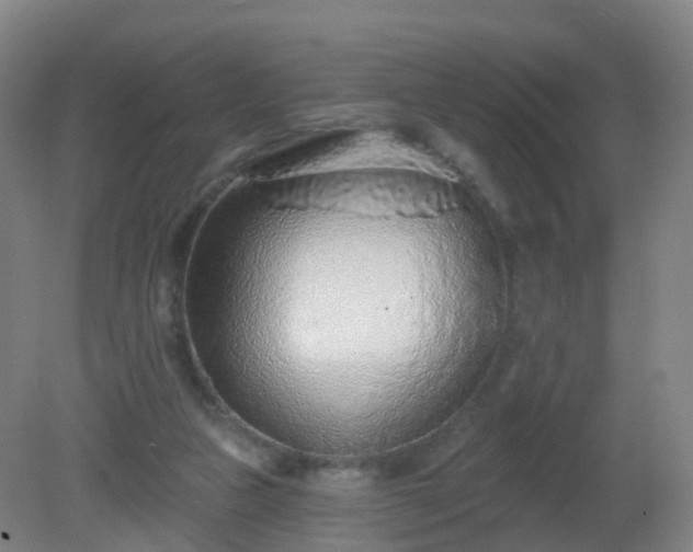 X0000081320161200701181937