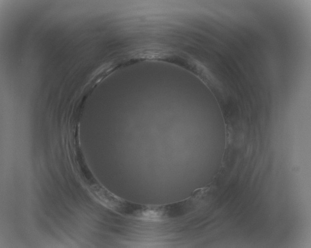 X0000081320163200701181937