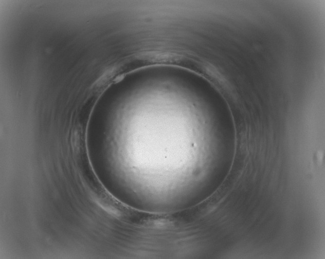 X0000081320165200701181937