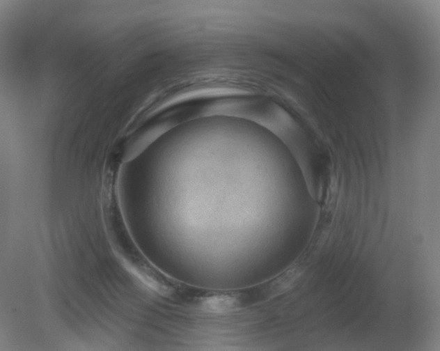 X0000081320168200701181937