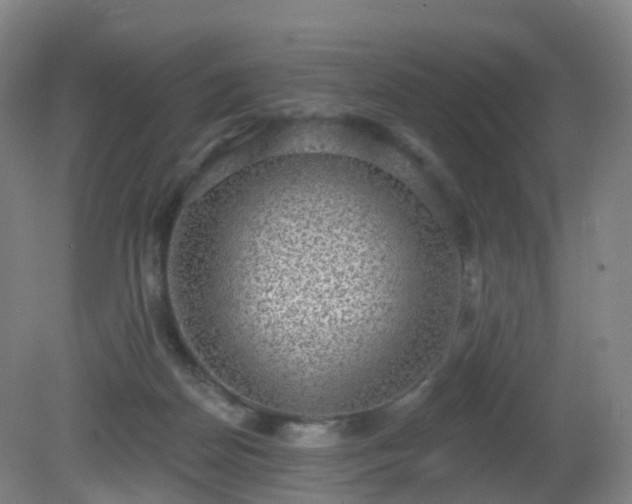 X0000081320170200701181937