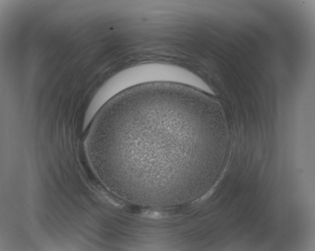 X0000081320174200701181938