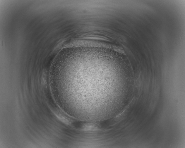X0000081320175200701181938