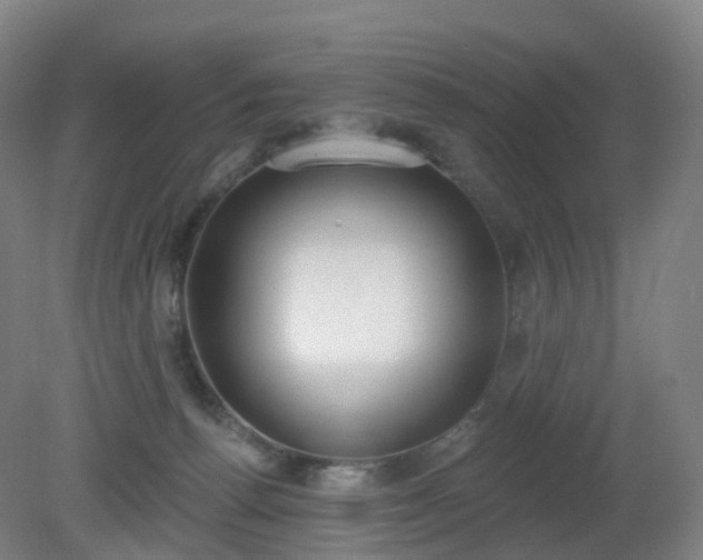 X0000081320176200701181938
