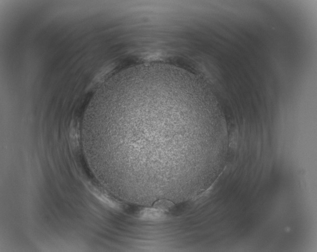 X0000081320179200701181938