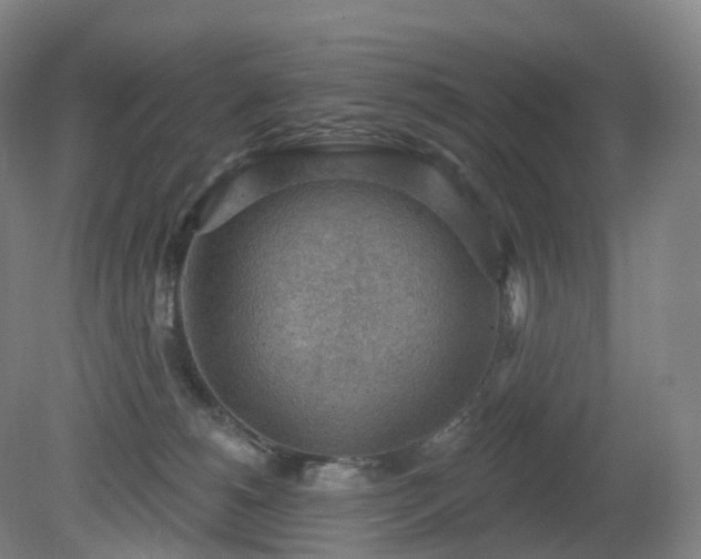X0000081320180200701181938