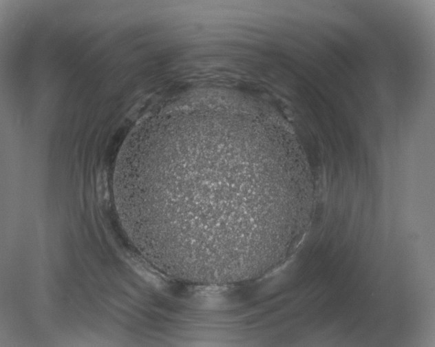 X0000081320182200701181938