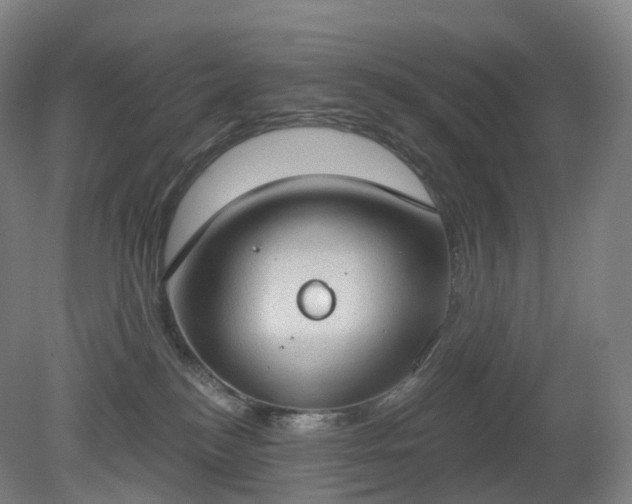 X0000081320184200701181938