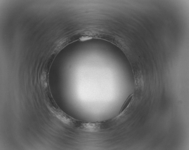 X0000081320187200701181938