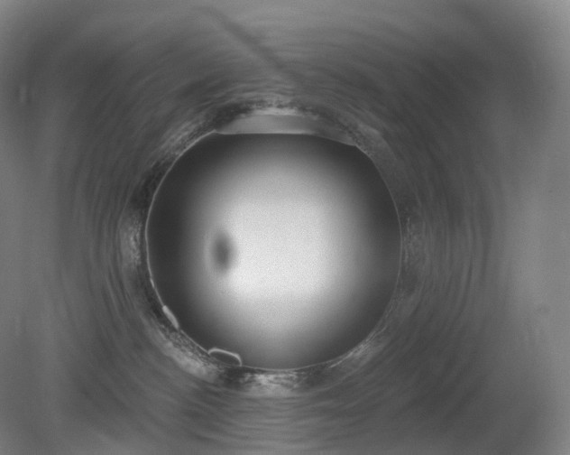 X0000081320188200701181938