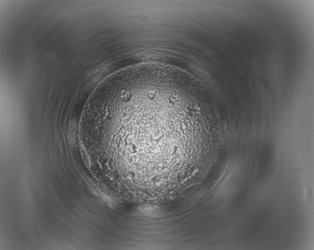 X0000081320189200701181938