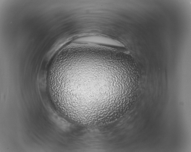 X0000081320194200701181937