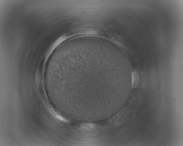 X0000081320195200701181937