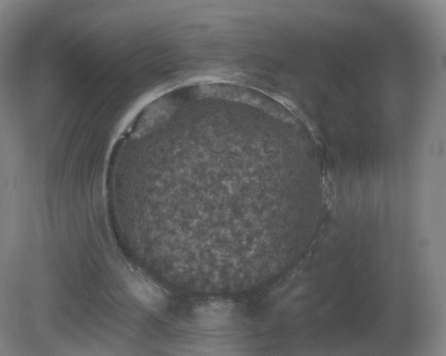 X0000081320196200701181937