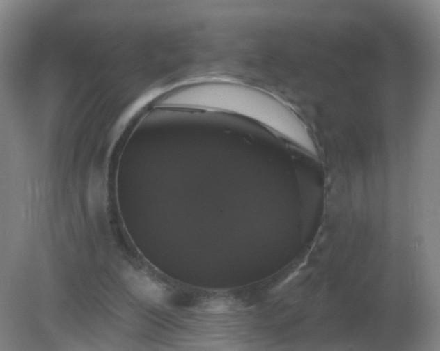 X0000081320200200701181937