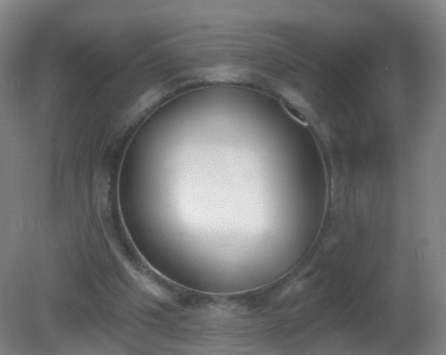 X0000081320201200701181937