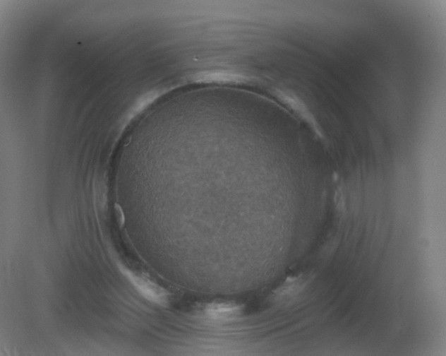 X0000081320204200701181937